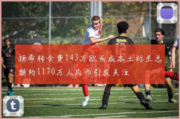 杨希转会费143万欧或成本土标王总额约1170万人民币引发关注