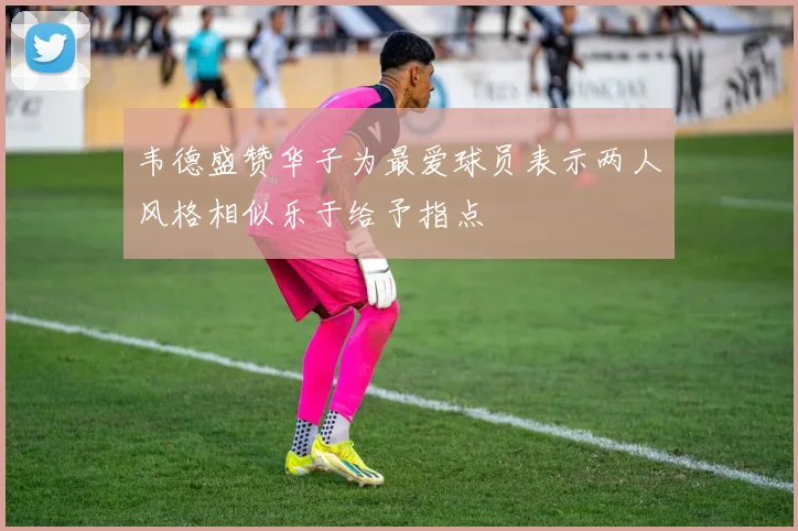 韦德盛赞华子为最爱球员表示两人风格相似乐于给予指点